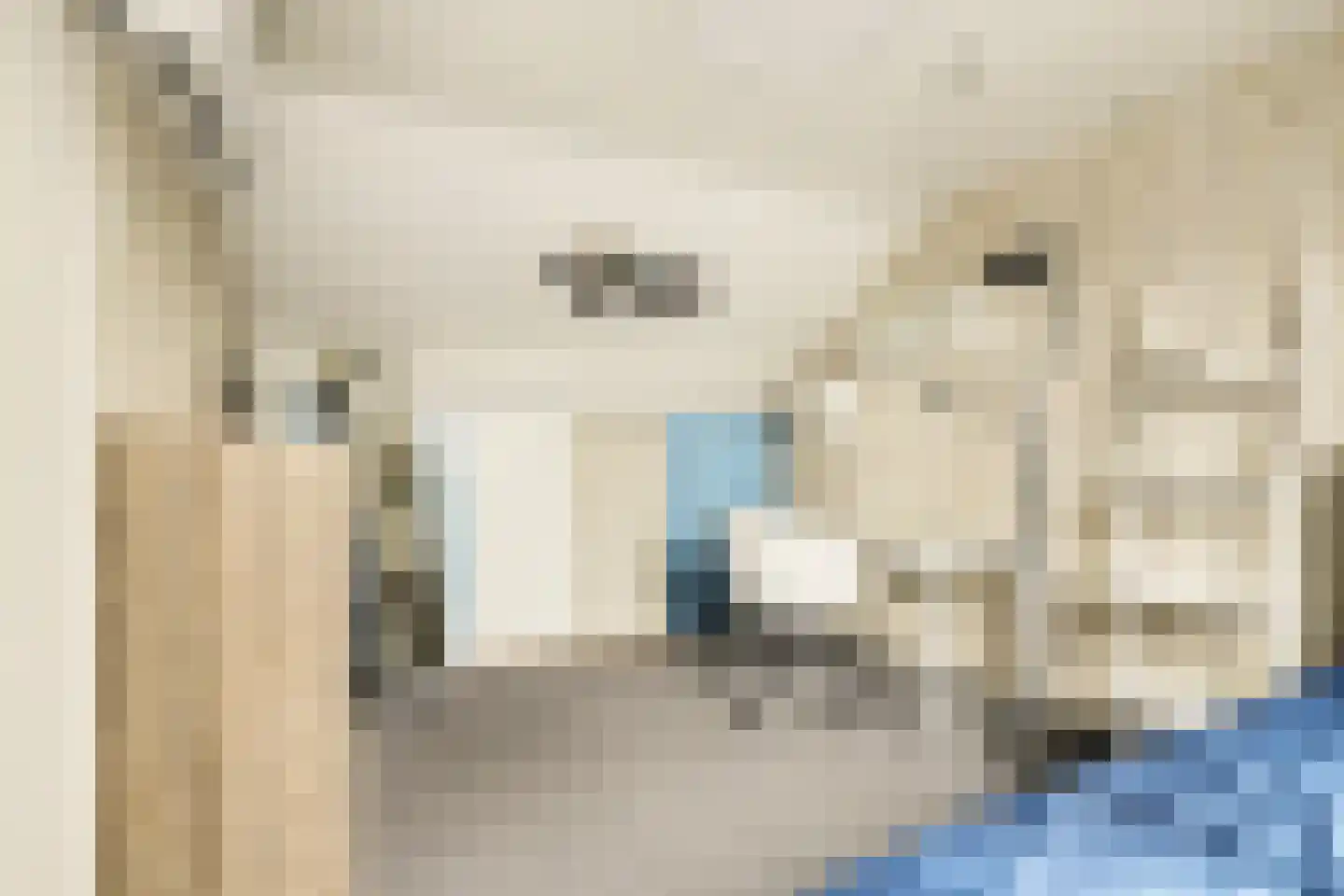 Aalbersestraat 10 Naaldwijk thumbnail 18