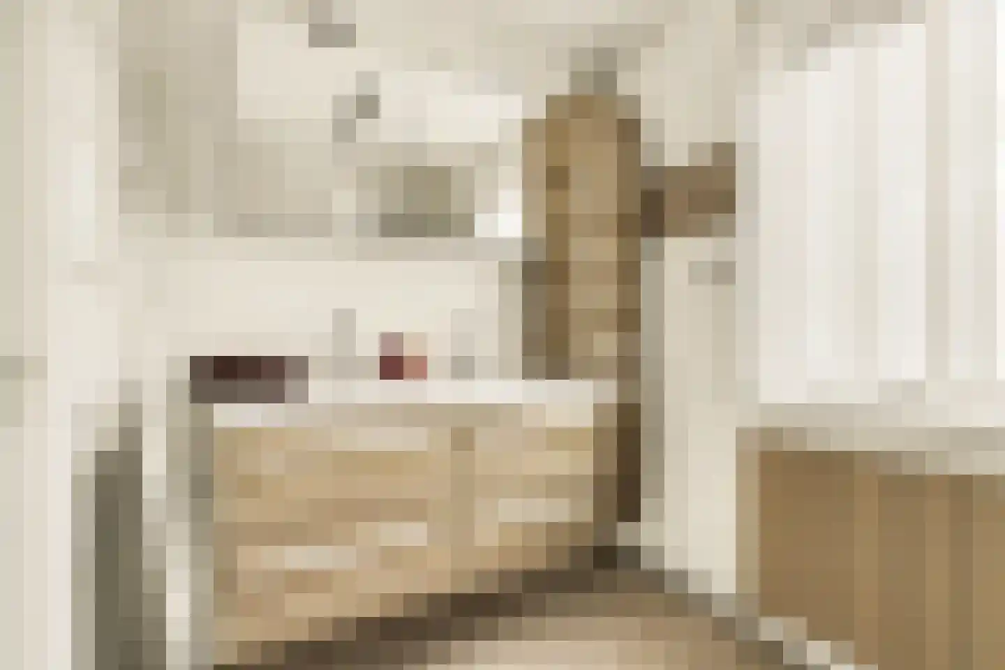 Aalbersestraat 10 Naaldwijk thumbnail 22