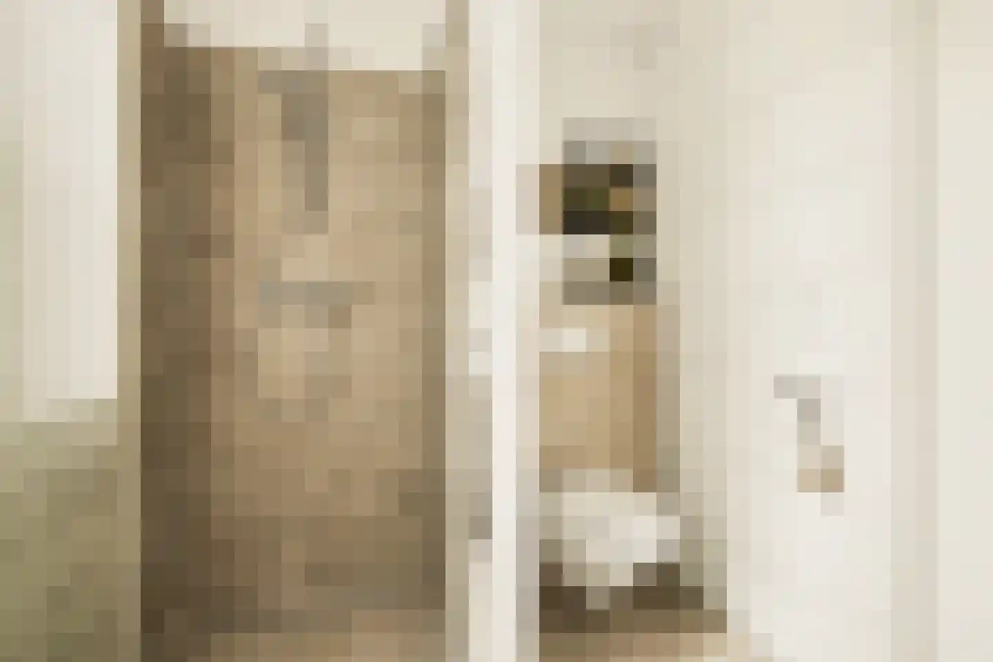 Aalbersestraat 10 Naaldwijk thumbnail 23