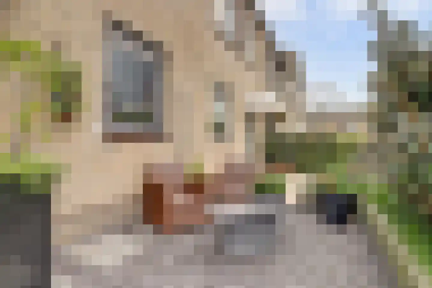 Aalbersestraat 10 Naaldwijk thumbnail 29