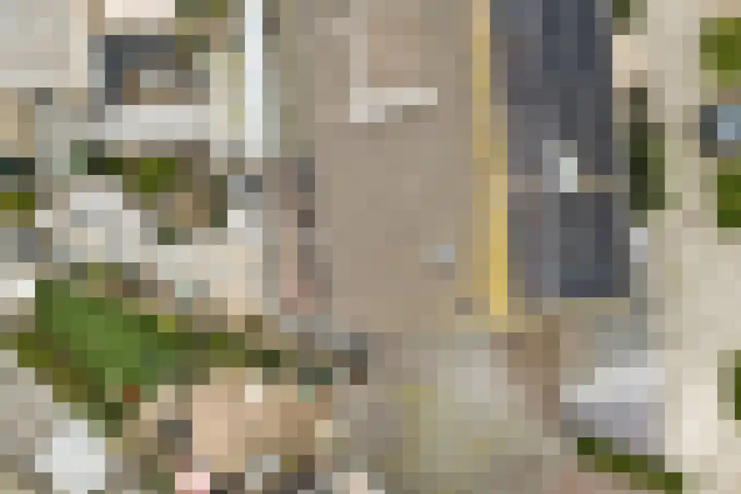 Aalbersestraat 10 Naaldwijk thumbnail 34