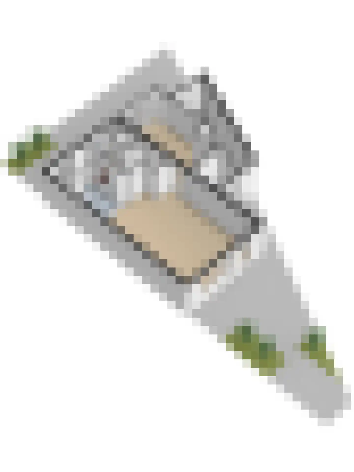Aalbersestraat 10 Naaldwijk thumbnail 45