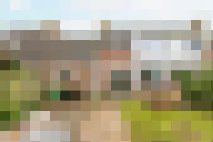 Aalbersestraat 10 Vlissingen thumbnail 16