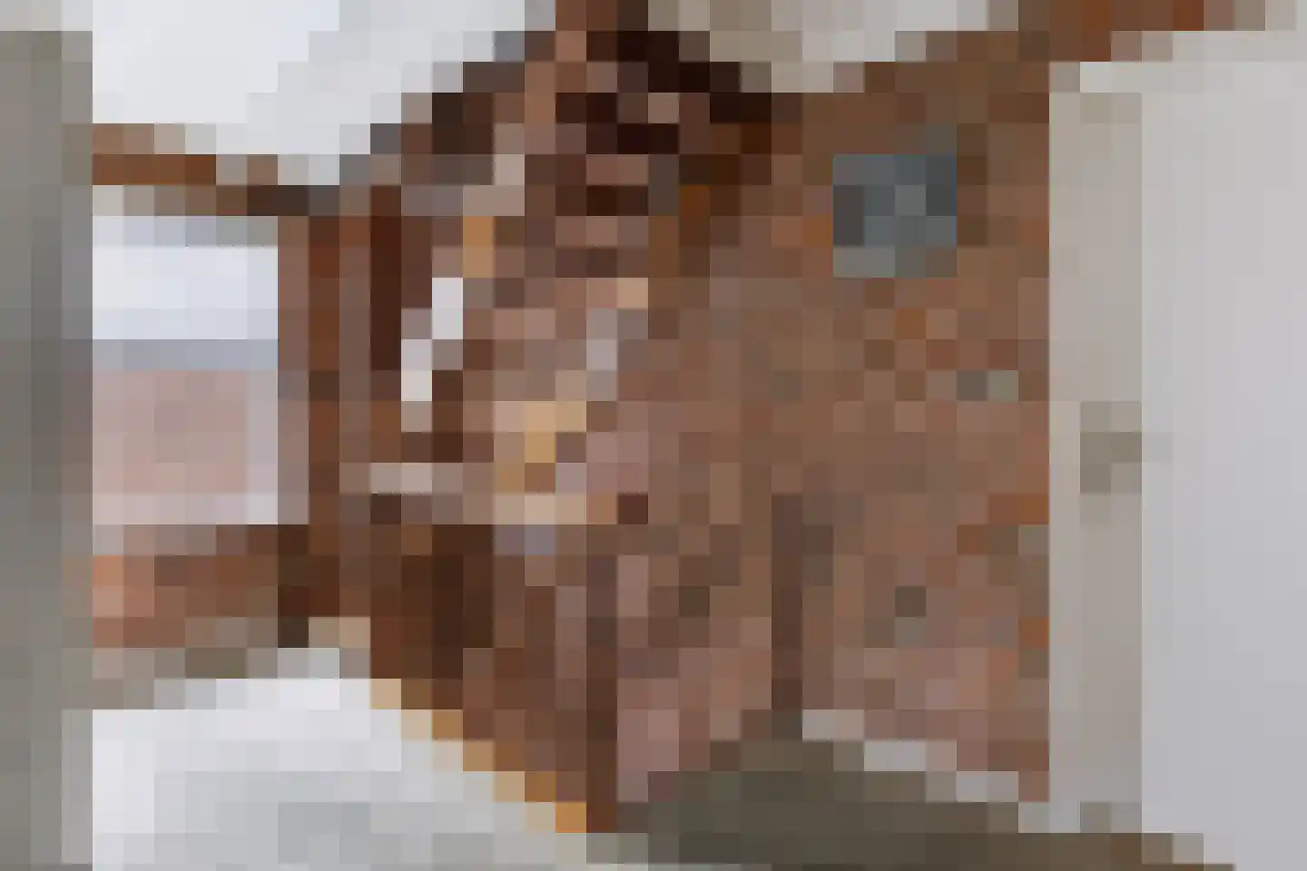 Aalbersestraat 13 Vragender thumbnail 40