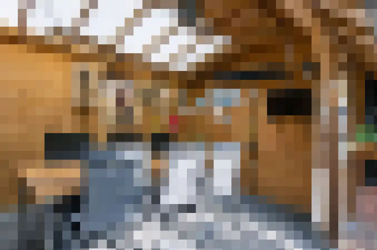 Aalbersestraat 13 Vragender thumbnail 55