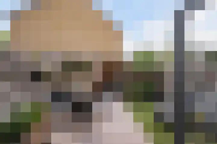 Aalbersestraat 15 Naaldwijk thumbnail 14