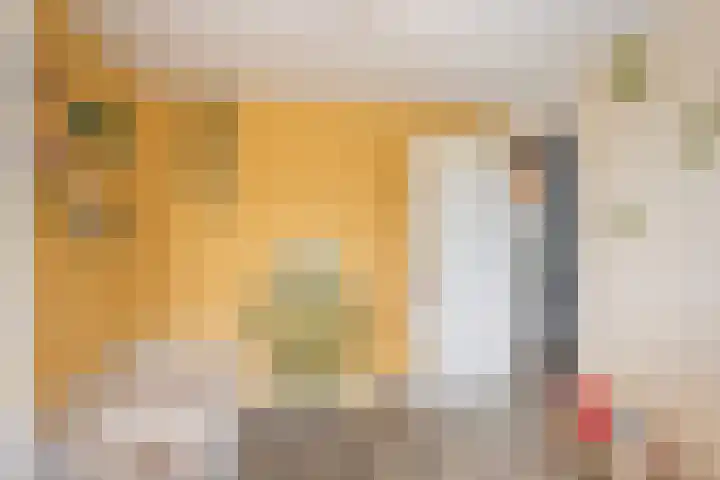 Aalbersestraat 15 Naaldwijk thumbnail 28