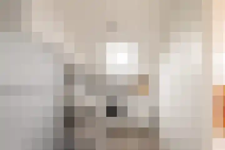 Aalbersestraat 15 Naaldwijk thumbnail 31