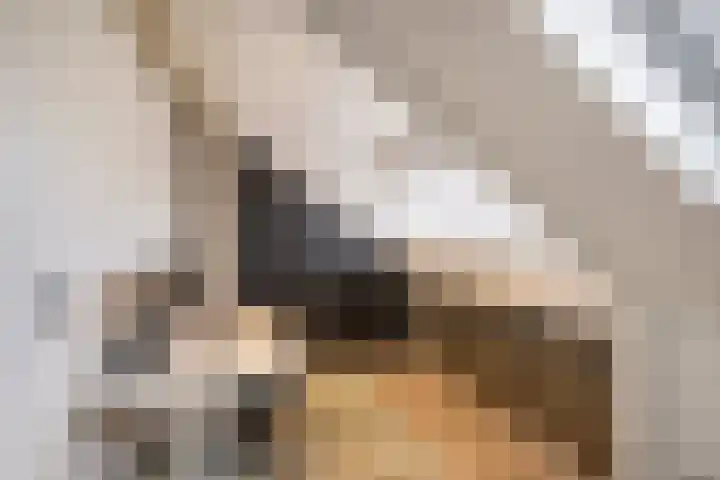 Aalbersestraat 15 Naaldwijk thumbnail 37