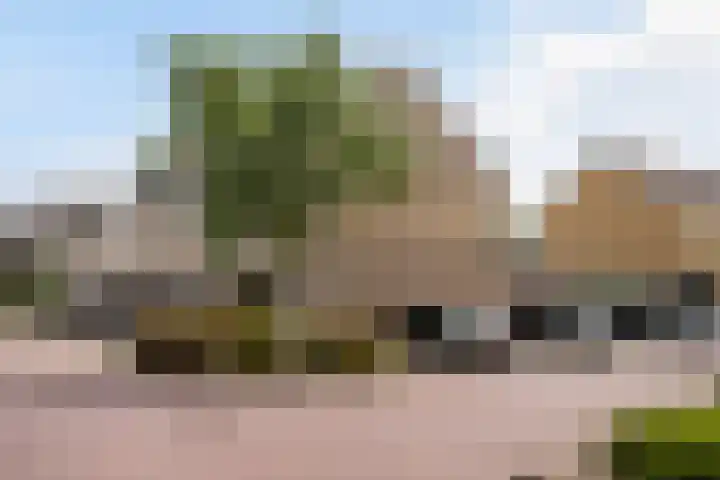 Aalbersestraat 15 Naaldwijk thumbnail 41
