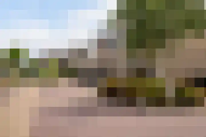 Aalbersestraat 15 Naaldwijk thumbnail 42