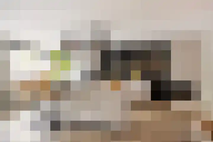 Aalbersestraat 15 Naaldwijk thumbnail 5