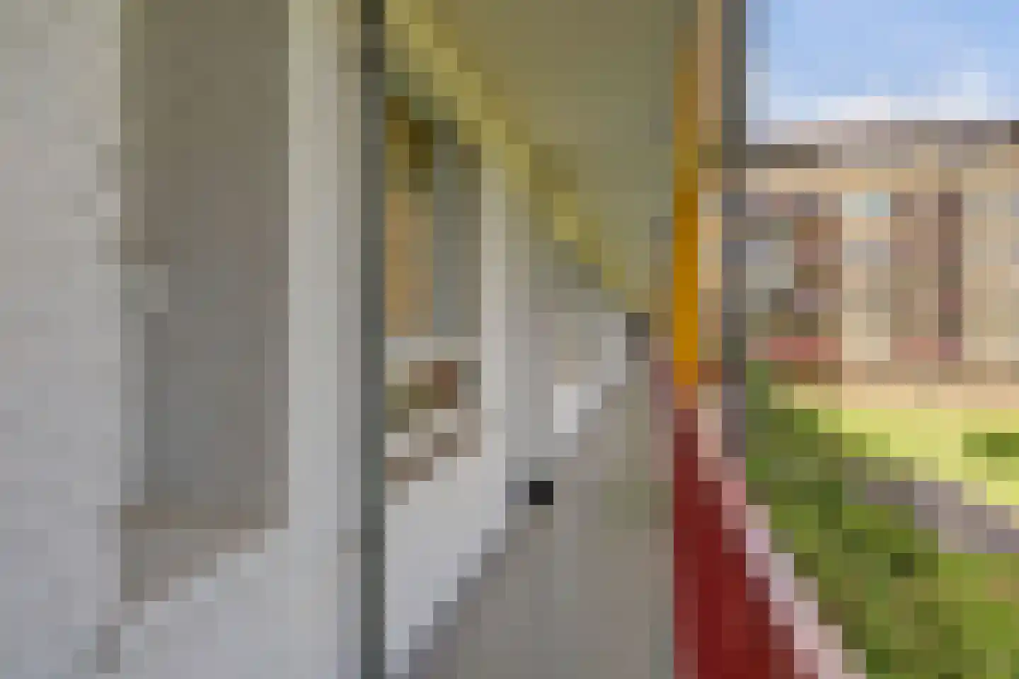 Aalbersestraat 156 Amsterdam thumbnail 6