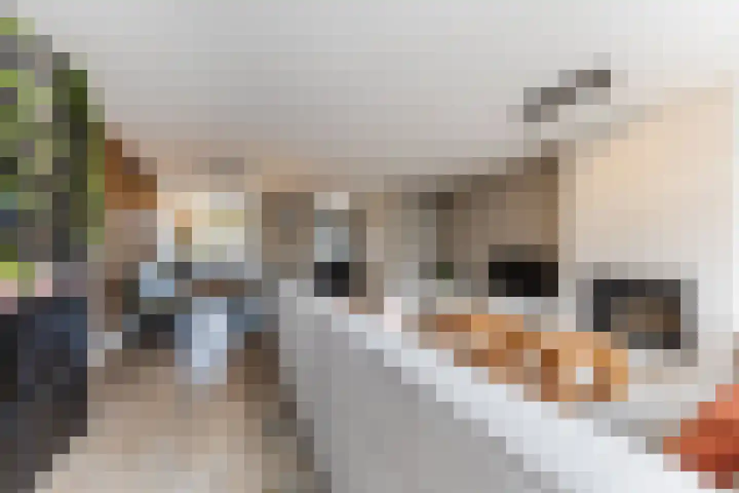 Aalbersestraat 17 Naaldwijk thumbnail 11