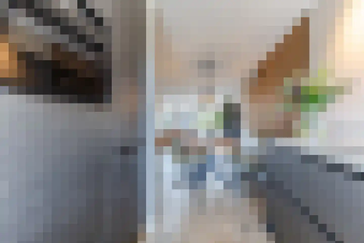 Aalbersestraat 17 Naaldwijk thumbnail 15