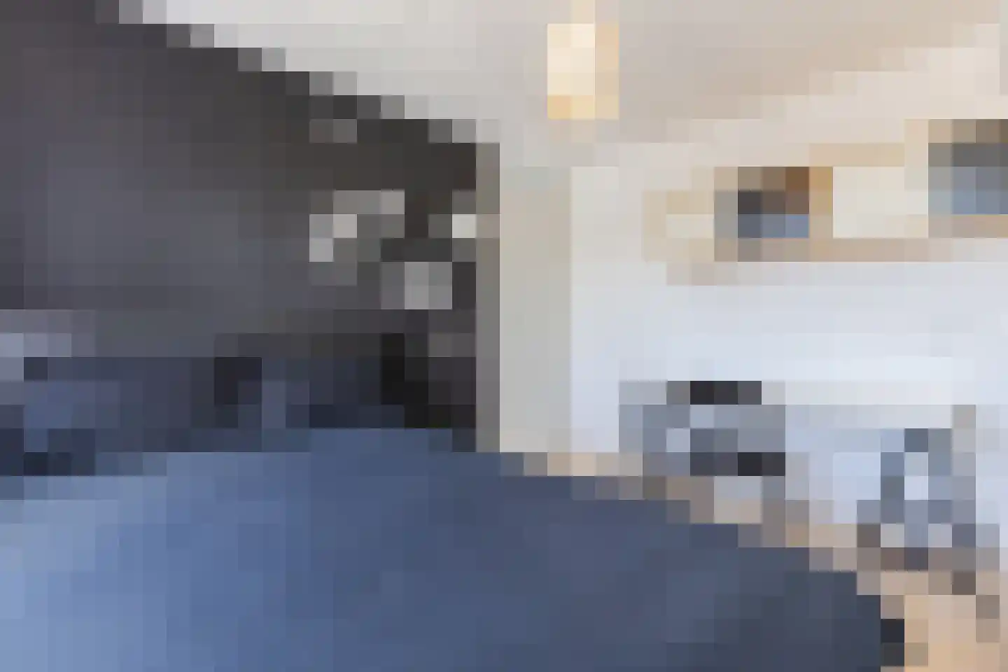 Aalbersestraat 17 Naaldwijk thumbnail 19