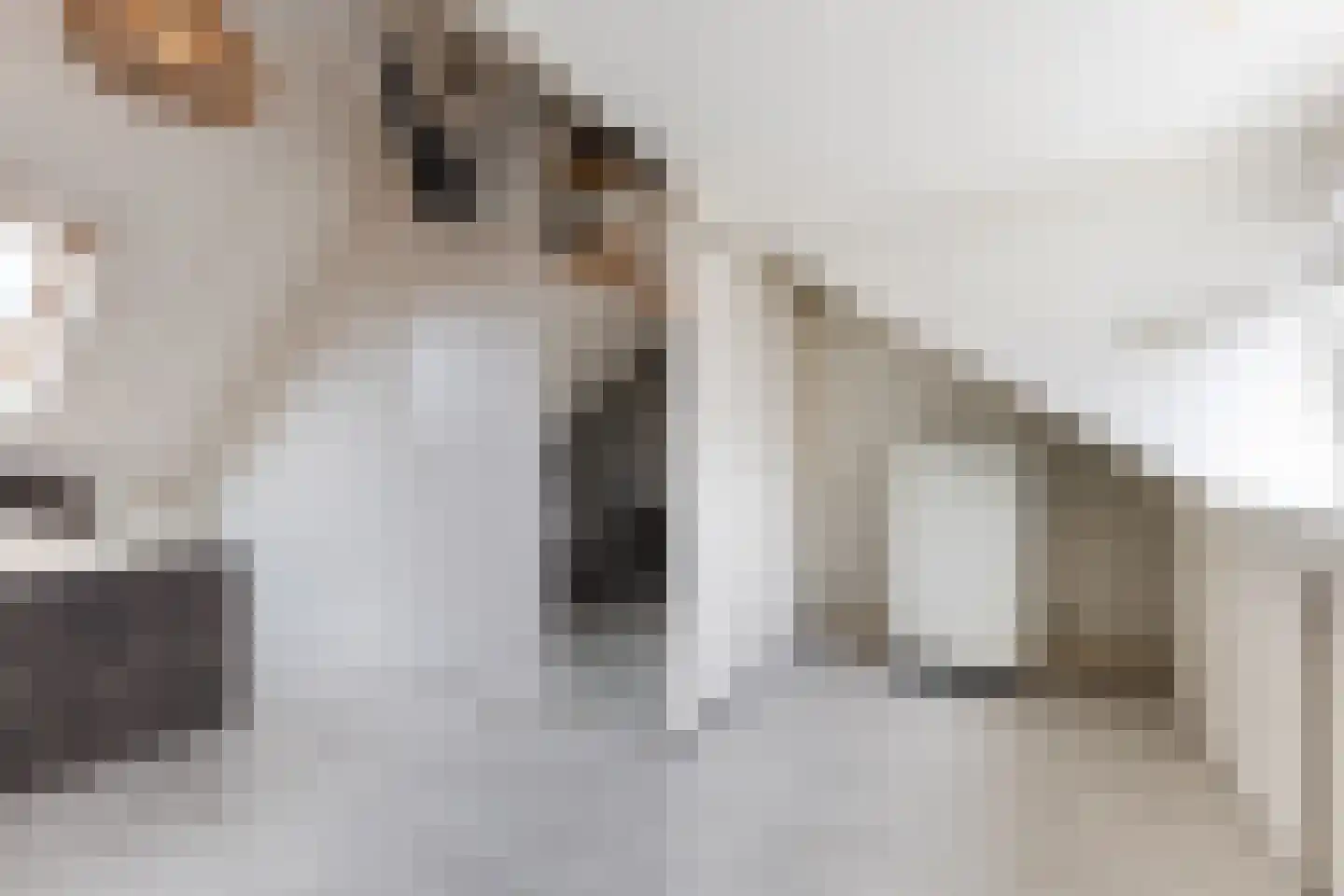 Aalbersestraat 17 Naaldwijk thumbnail 24