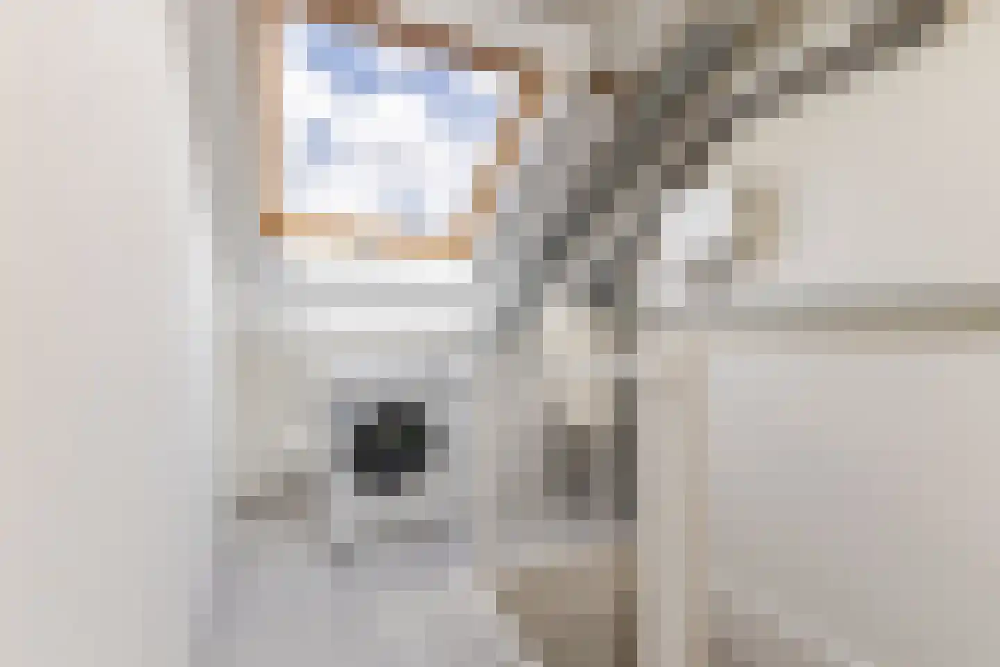 Aalbersestraat 17 Naaldwijk thumbnail 25