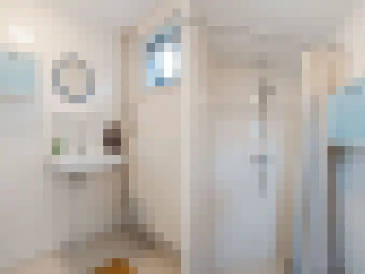 Aalbersestraat 238 Amsterdam thumbnail 32