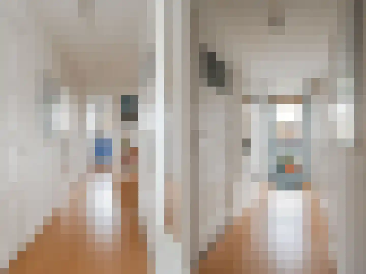 Aalbersestraat 238 Amsterdam thumbnail 5