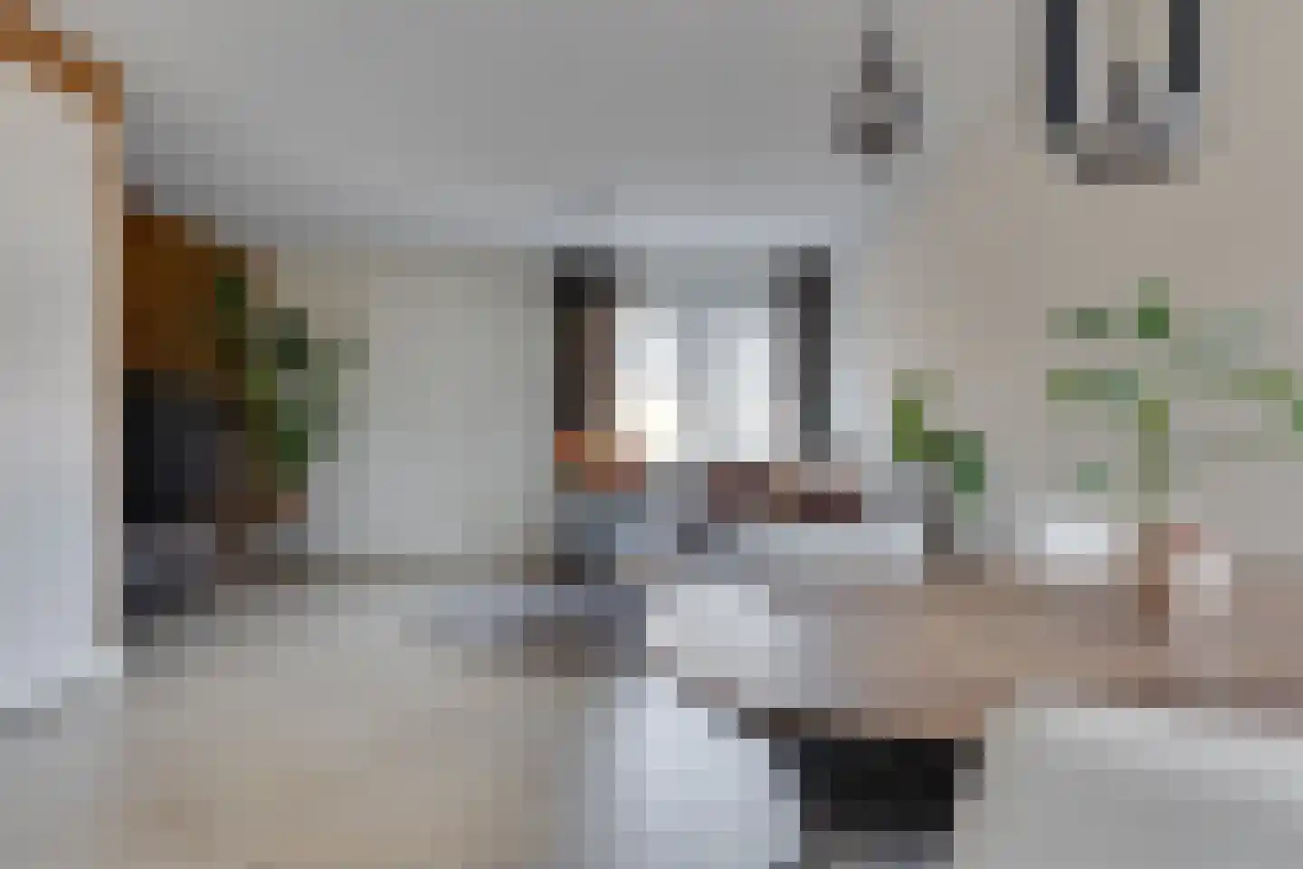 Aalbersestraat 33 Vragender thumbnail 10