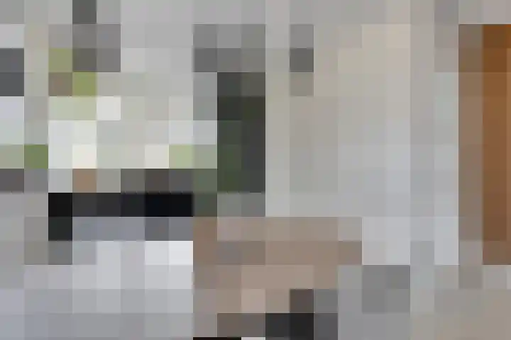 Aalbersestraat 33 Vragender thumbnail 13