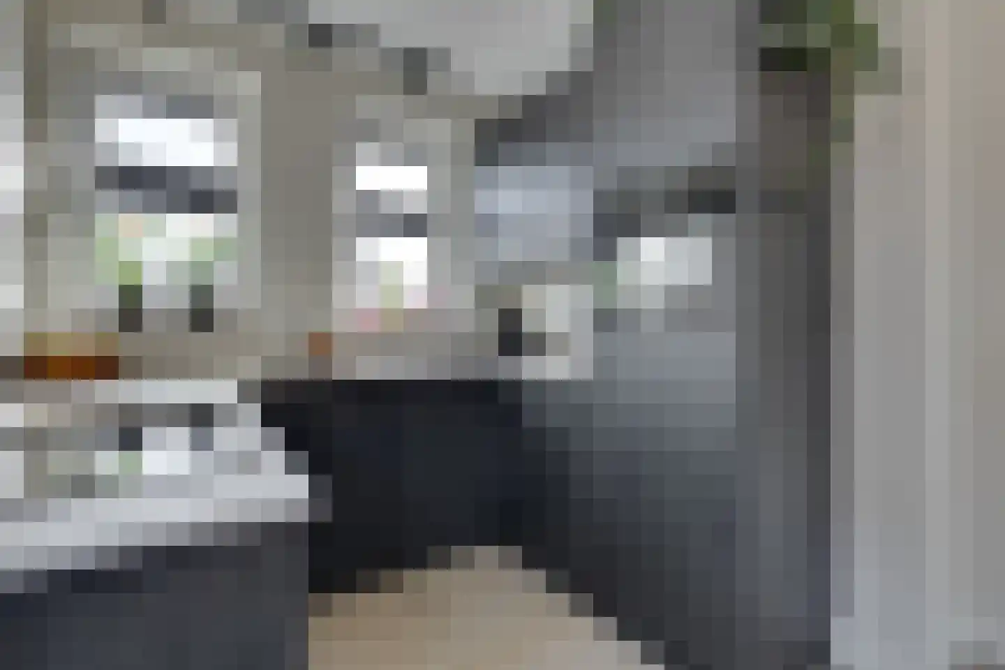 Aalbersestraat 33 Vragender thumbnail 16