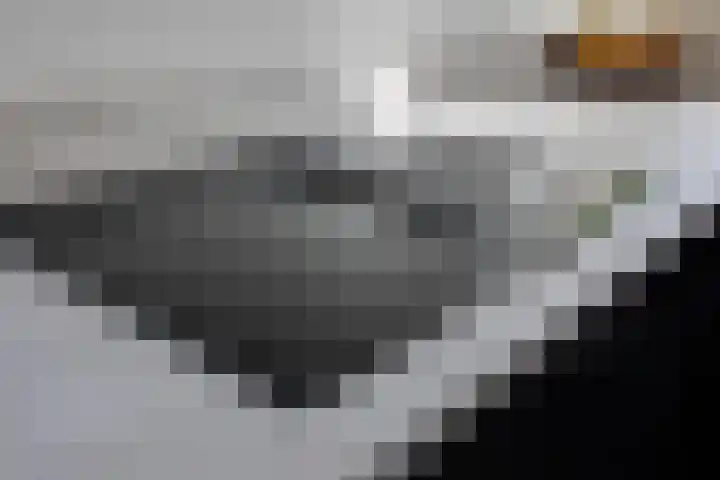 Aalbersestraat 33 Vragender thumbnail 17