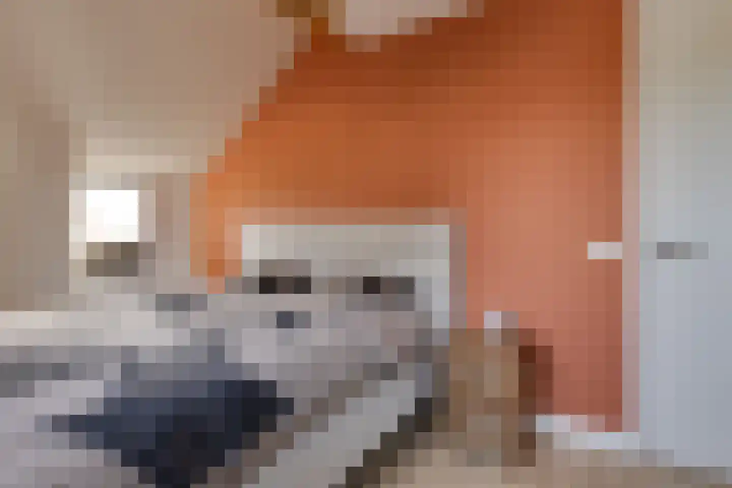 Aalbersestraat 33 Vragender thumbnail 21