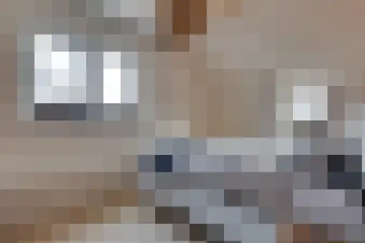 Aalbersestraat 33 Vragender thumbnail 22