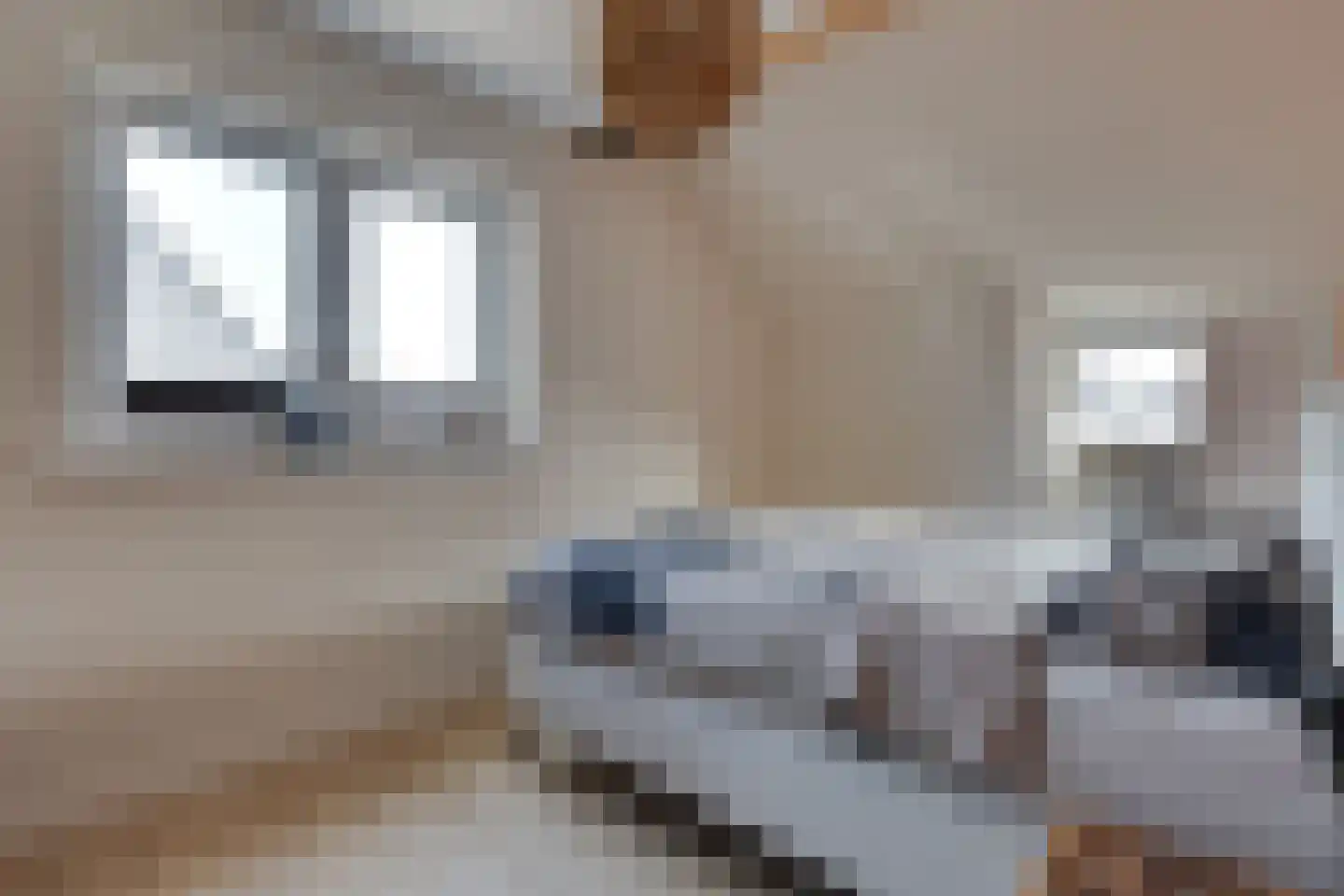 Aalbersestraat 33 Vragender thumbnail 22