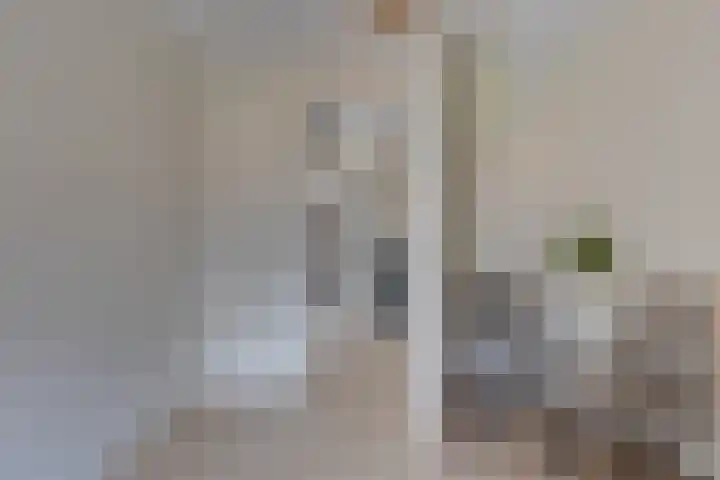 Aalbersestraat 33 Vragender thumbnail 26
