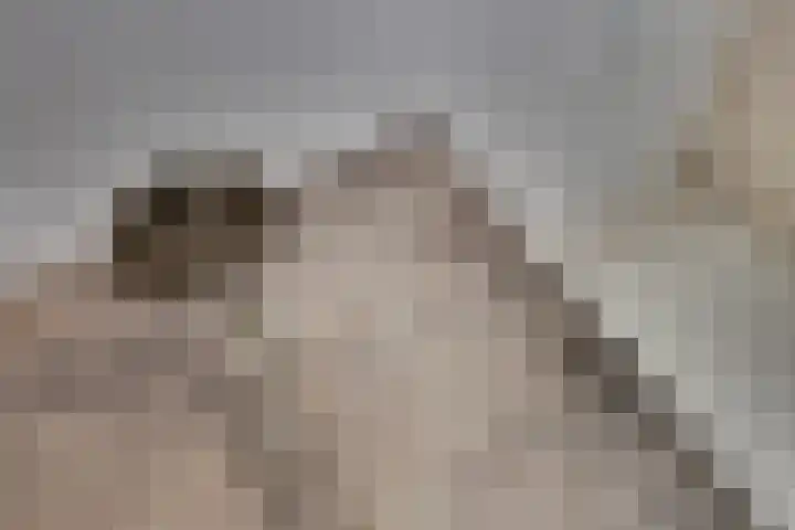 Aalbersestraat 33 Vragender thumbnail 32