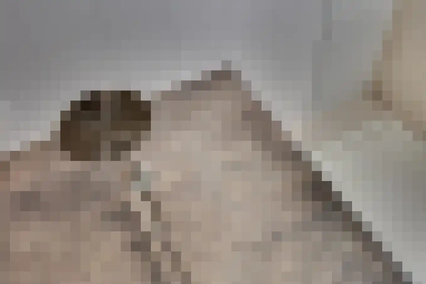 Aalbersestraat 33 Vragender thumbnail 32