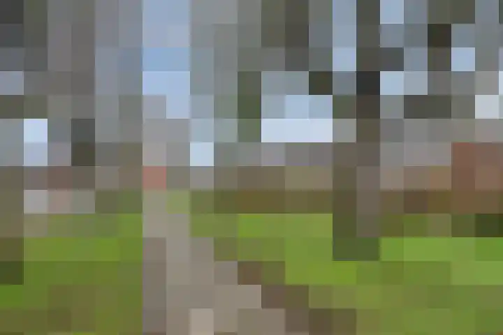Aalbersestraat 34 Helmond thumbnail 26