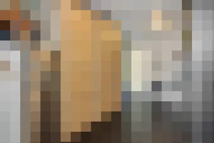 Aalbersestraat 36 Oss thumbnail 13