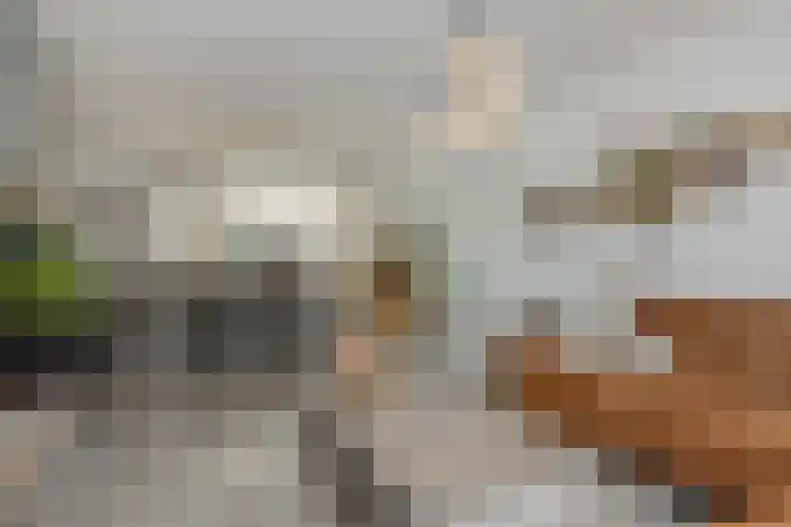 Aalbersestraat 36 Oss thumbnail 7