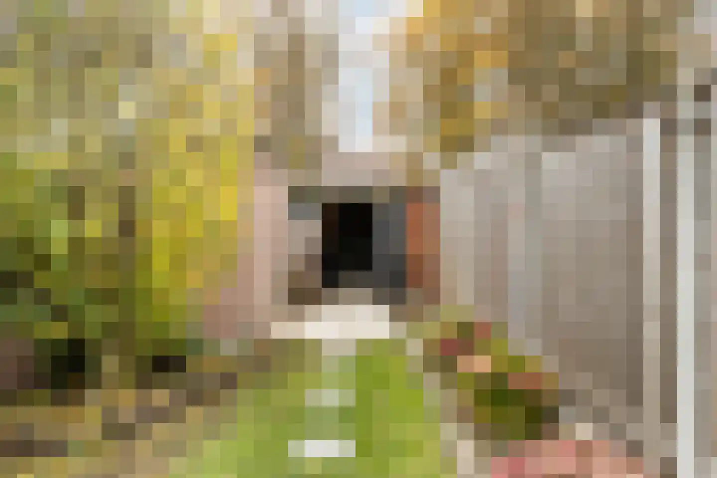 Aalbersestraat 38 Helmond thumbnail 32