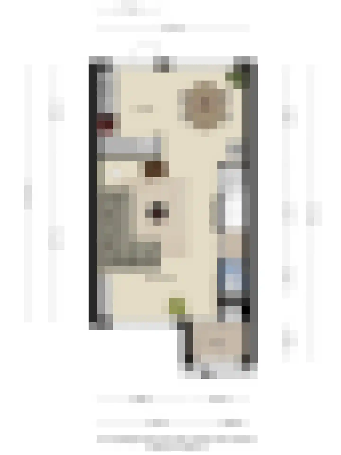 Aalbersestraat 38 Helmond thumbnail 45