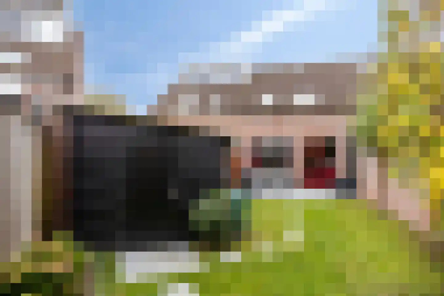 Aalbersestraat 38 Helmond thumbnail 7