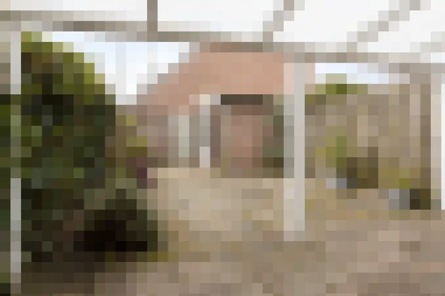 Aalbersestraat 39 Hoogerheide thumbnail 24