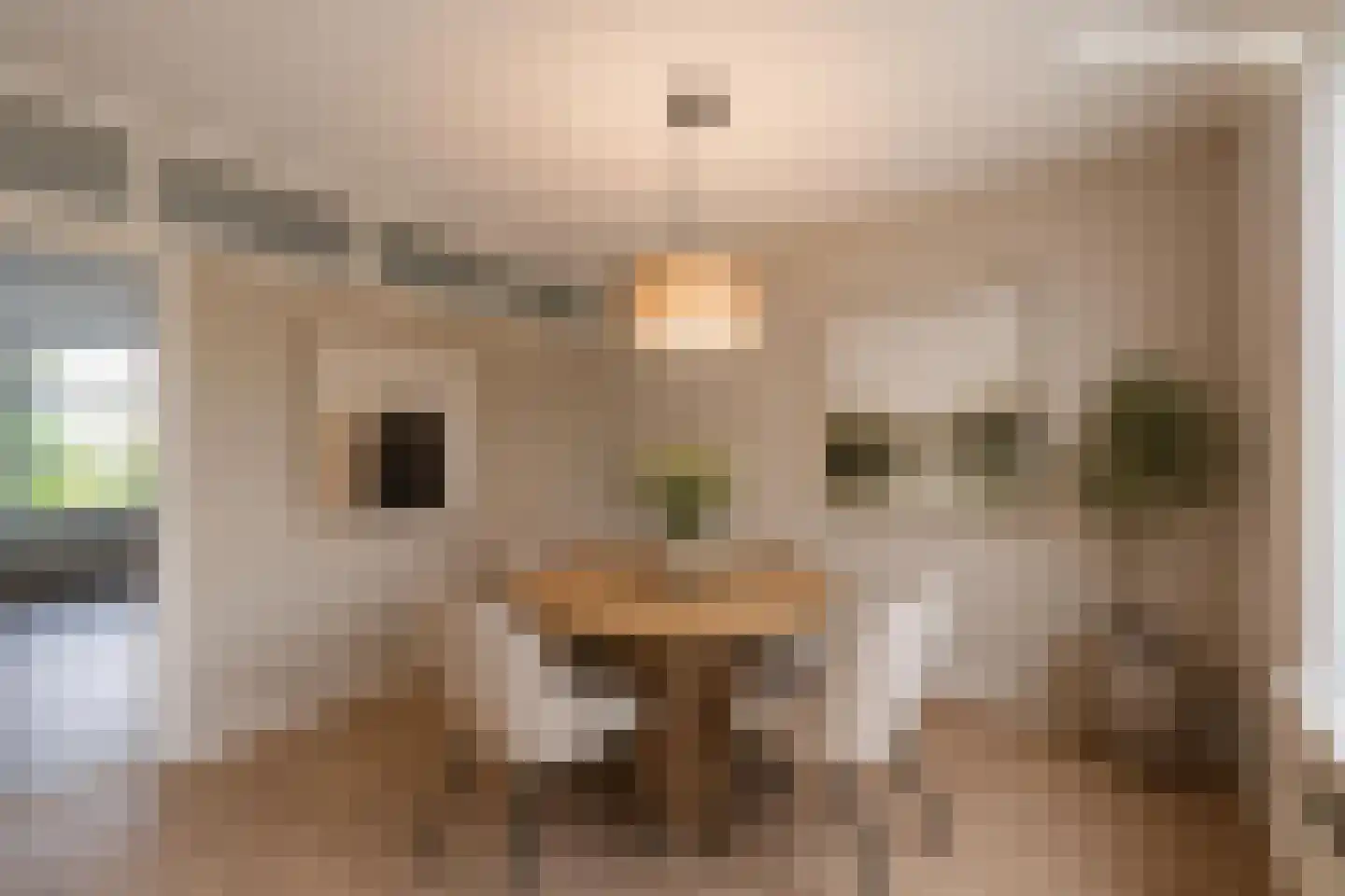 Aalbersestraat 5 3 Utrecht thumbnail 23