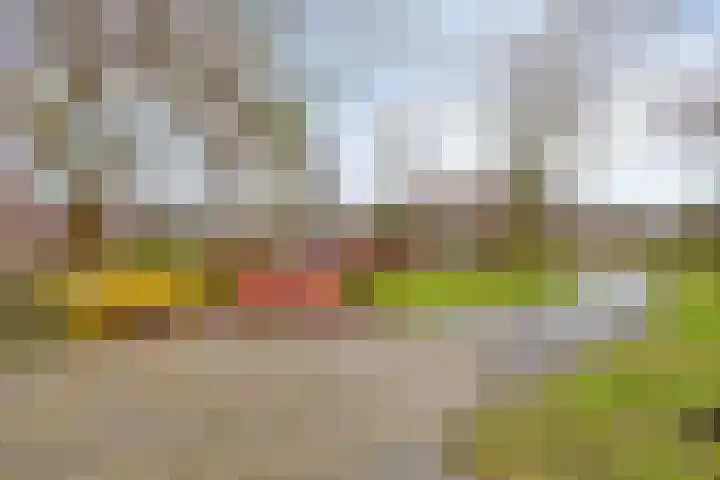 Aalbersestraat 5 Heerlen thumbnail 22