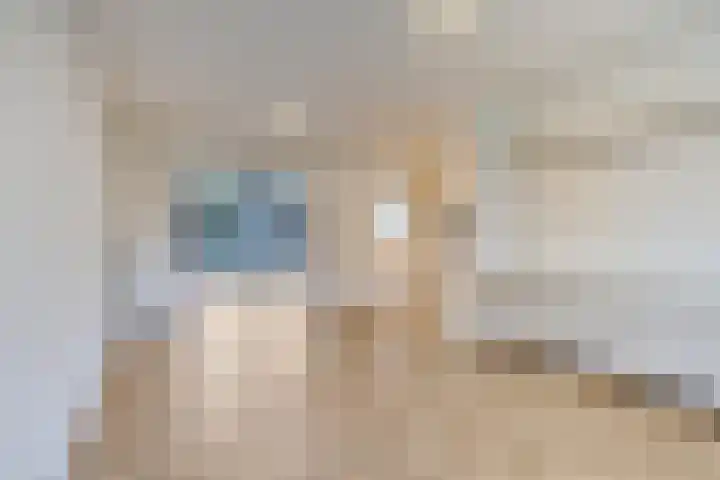 Aalbersestraat 5 Heerlen thumbnail 4