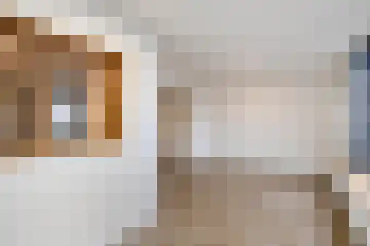 Aalbersestraat 5 Heerlen thumbnail 7