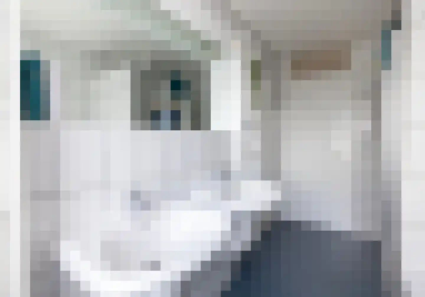 Aalbersestraat 51 Oss thumbnail 26