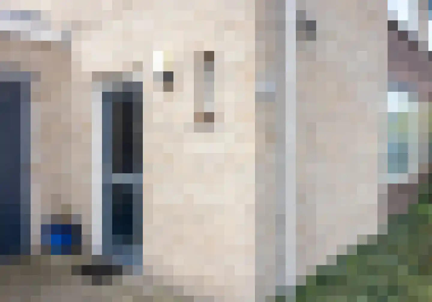 Aalbersestraat 51 Oss thumbnail 7
