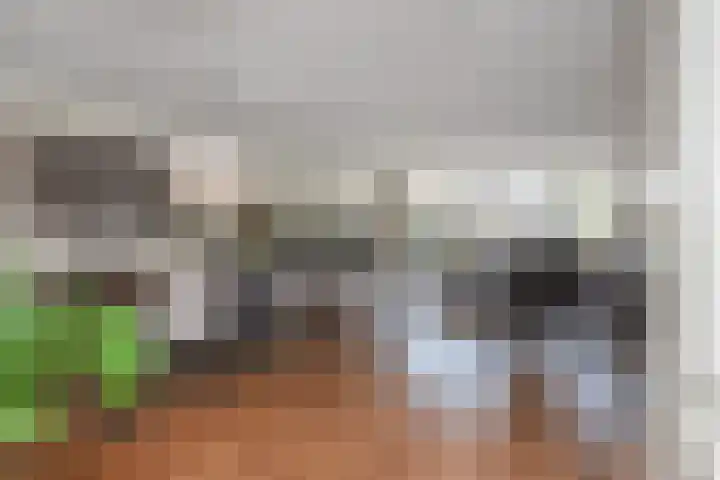 Aalbersestraat 7 Naaldwijk thumbnail 10