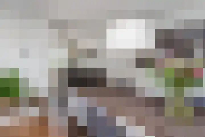 Aalbersestraat 7 Naaldwijk thumbnail 18