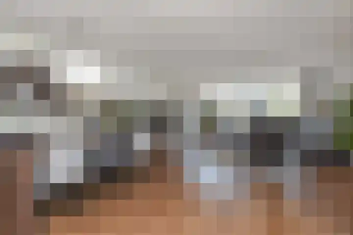 Aalbersestraat 7 Naaldwijk thumbnail 19